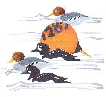 DUCKS AND FLOATS SILKSCREEN