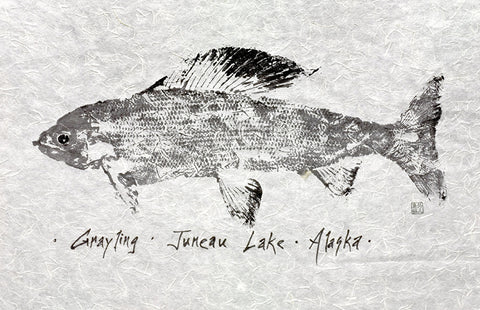 ARCTIC GRAYLING GYOTAKU