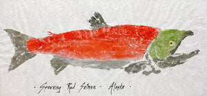 SPAWNING RED SALMON GYOTAKU