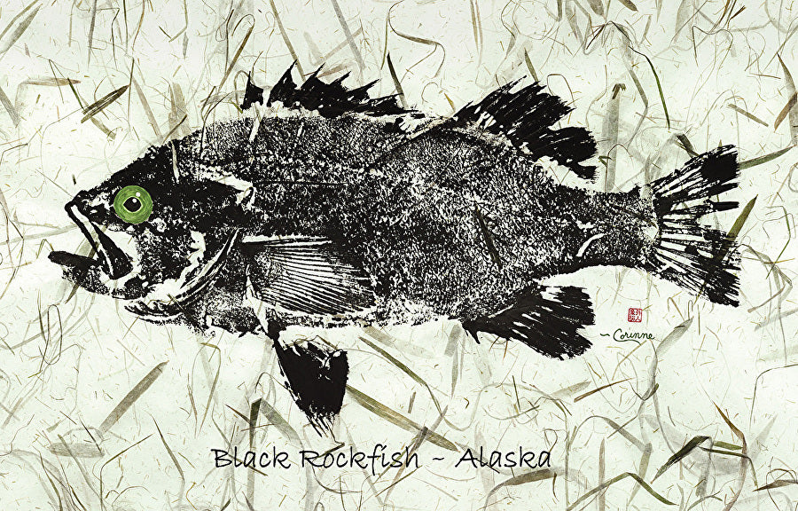 BLACK ROCKFISH GYOTAKU