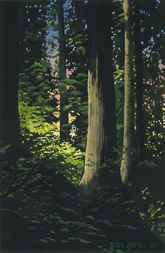 FOREST LIGHT AP