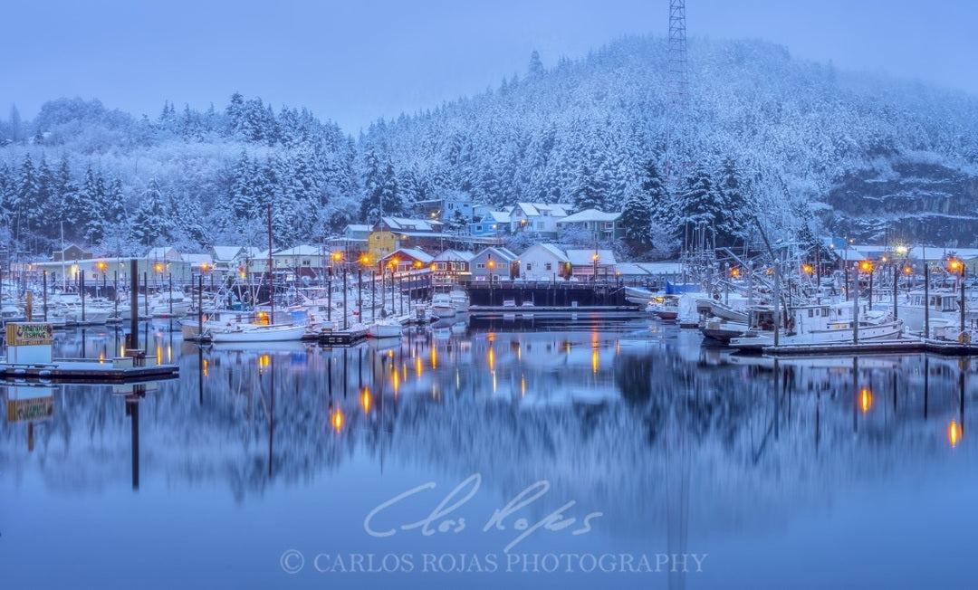 SNOWY THOMAS BASIN 18X12