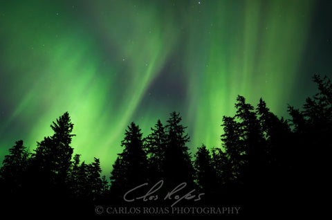 AURORA BOREALIS 18X12