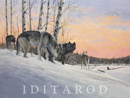 IDITAROD POSTER 2013