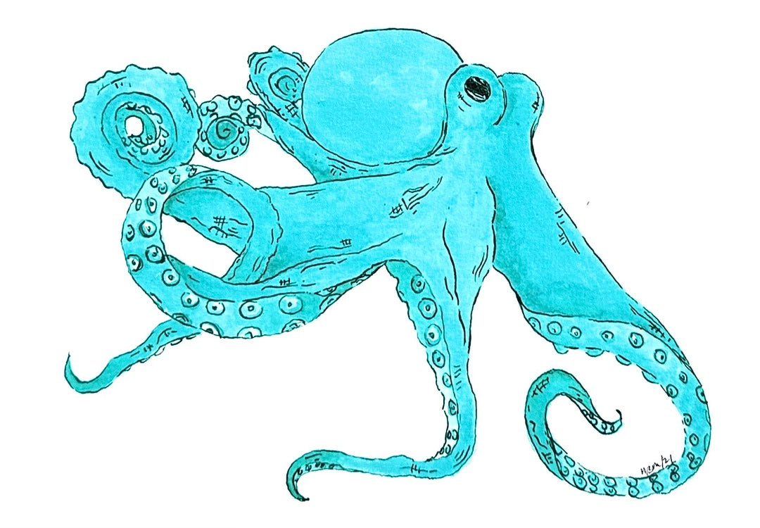 AQUA OCTOPUS – Scanlon Gallery & Custom Framing