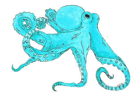 AQUA OCTOPUS