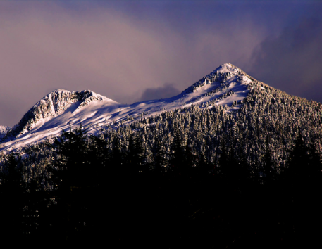 DEER MOUNTAIN MATTED PHOTO 14x11