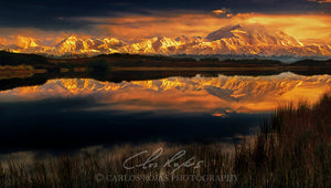 DENALI REFLECTIONS