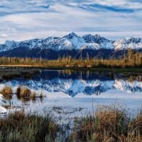 DOUBLE VISION ALASKA BOOK