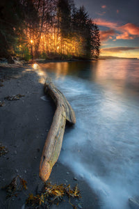 DRIFTWOOD AND SURF AT TOTM BIGHT 12 X 18 PHOTO ON METAL