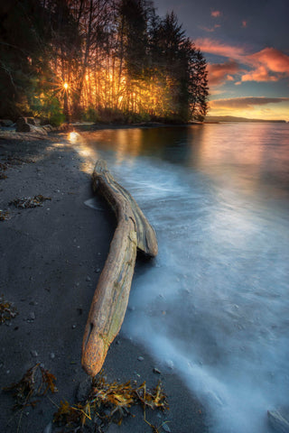 DRIFTWOOD AND SURF AT TOTEM BIGHT 12 X 18 PHOTO ON METAL
