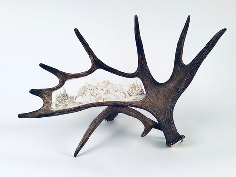 FIGHTING MOOSE STANDING ANTLER CARVING