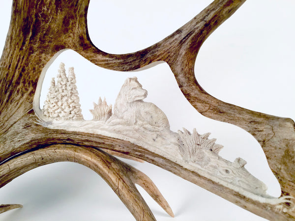 RELAXING WOLF STANDING CARVED MOOSE ANTLER