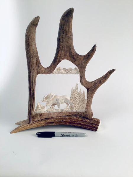 MOOSE CARVED IN ANTLER