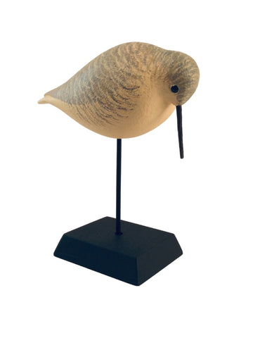 SANDPIPER LOOKING DOWN