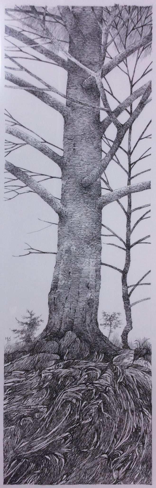 BLACK AND WHITE TREE ORIGINAL DRAWING