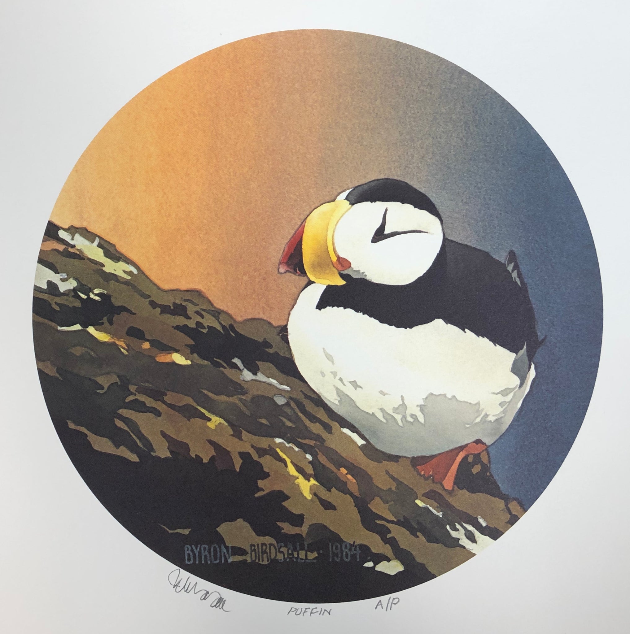 PUFFIN AP