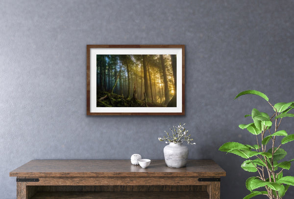 TONGASS NATIONAL FOREST 18X12
