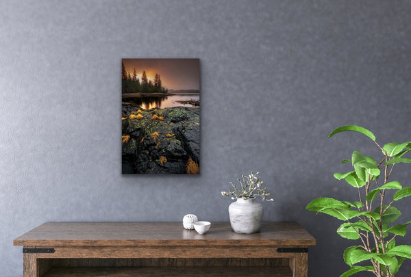 TUFTS AND SUNSET 12X18 PHOTO ON METAL