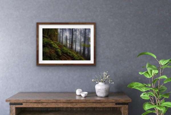 TONGASS RAIN FOREST 18X12