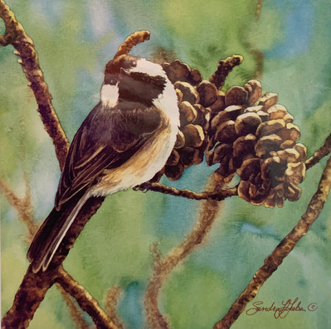 CHICKADEE