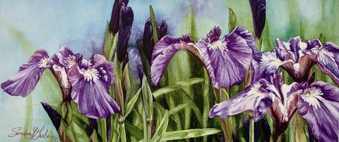 IRIS MEADOWS