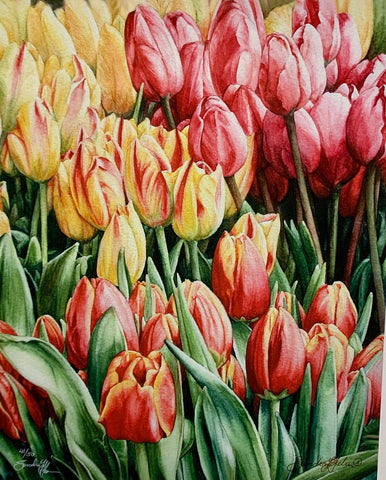 TULIPS IN WAITING