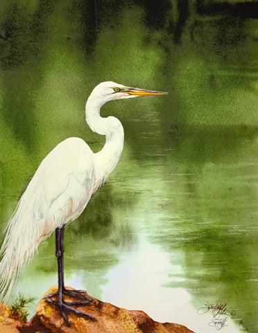 EVENING REFLECTION