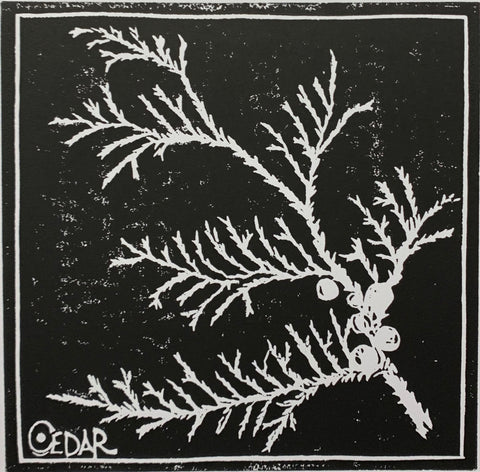 CEDAR WOODBLOCK PRINT