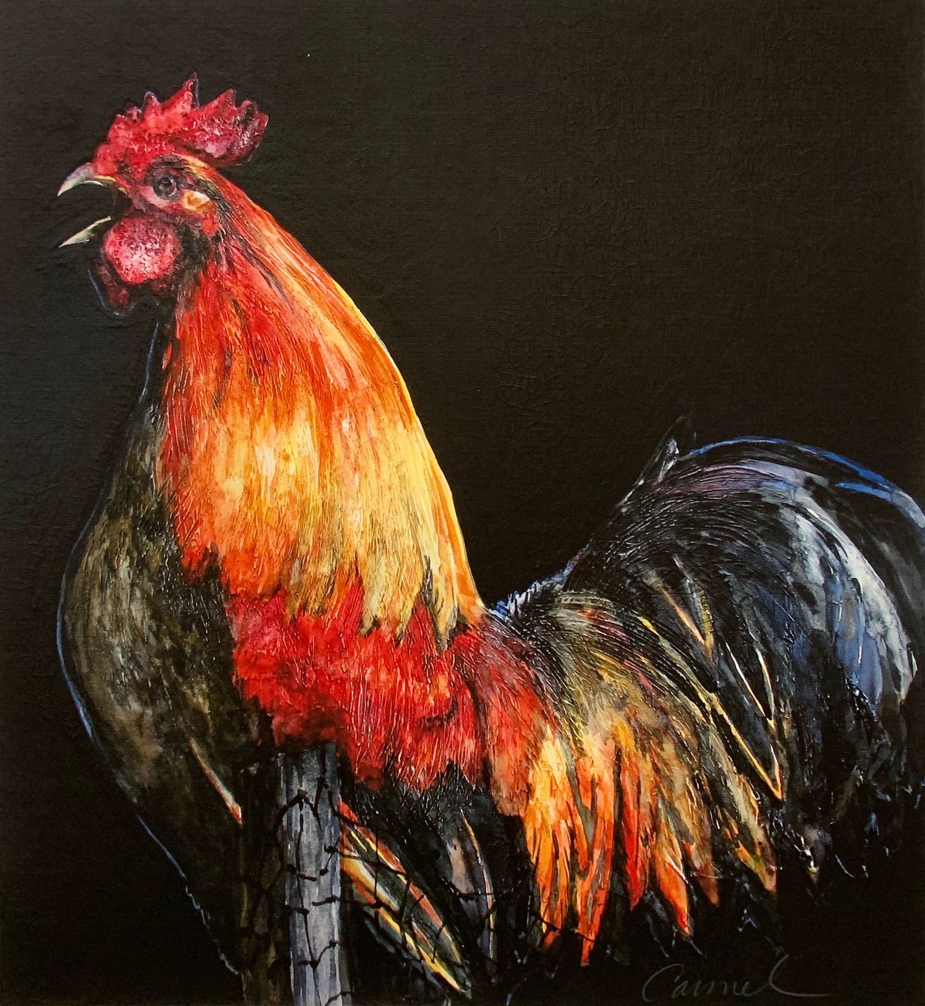 PROUD ROOSTER
