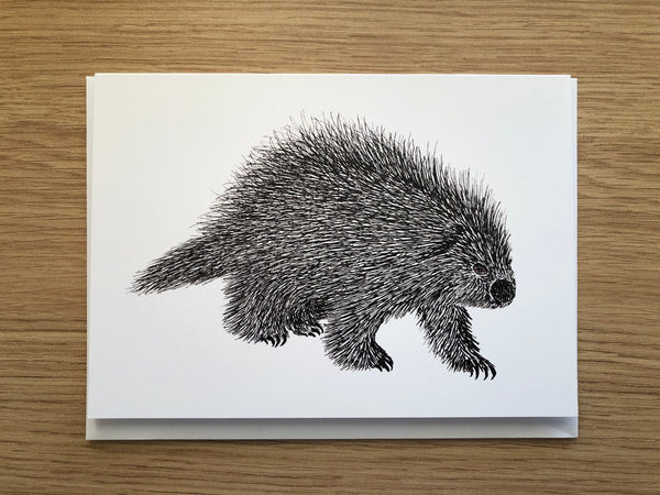 PORCUPINE ART CARD