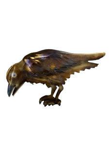 RAVEN LOOKING FORWARD