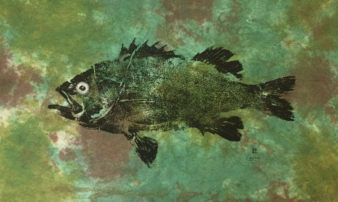 BLACK ROCKFISH ORIGINAL GYOTAKU