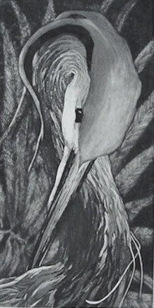 FAN DANCER