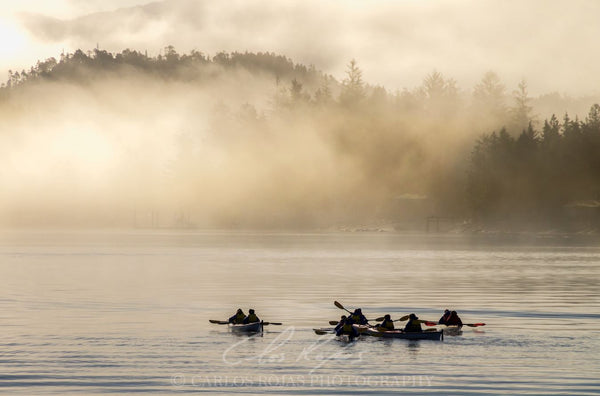 KAYAKING IN THE TONGASS NARROWS