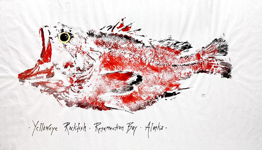 YELLOWEYE ROCKFISH GYOTAKU