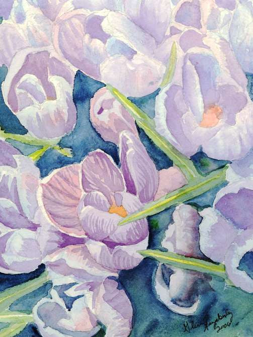Crocus
