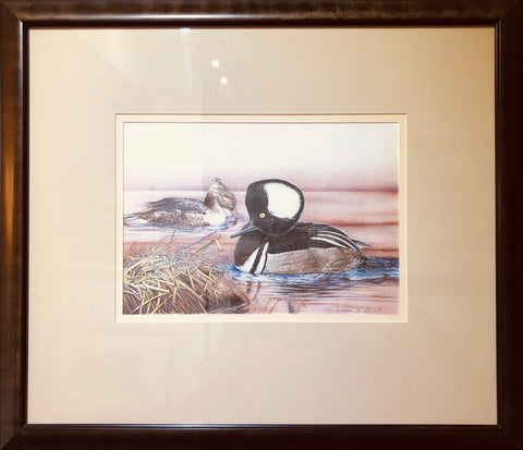 HOODED MERGANSERS FRAMED ORIGINAL DRAWING