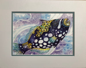 CLOWN TRIGGERFISH