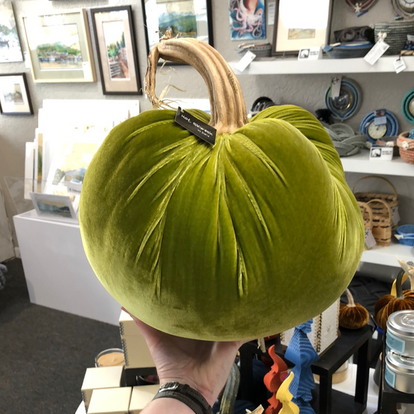 JUMBO PUMPKIN CHARTREUSE 11"