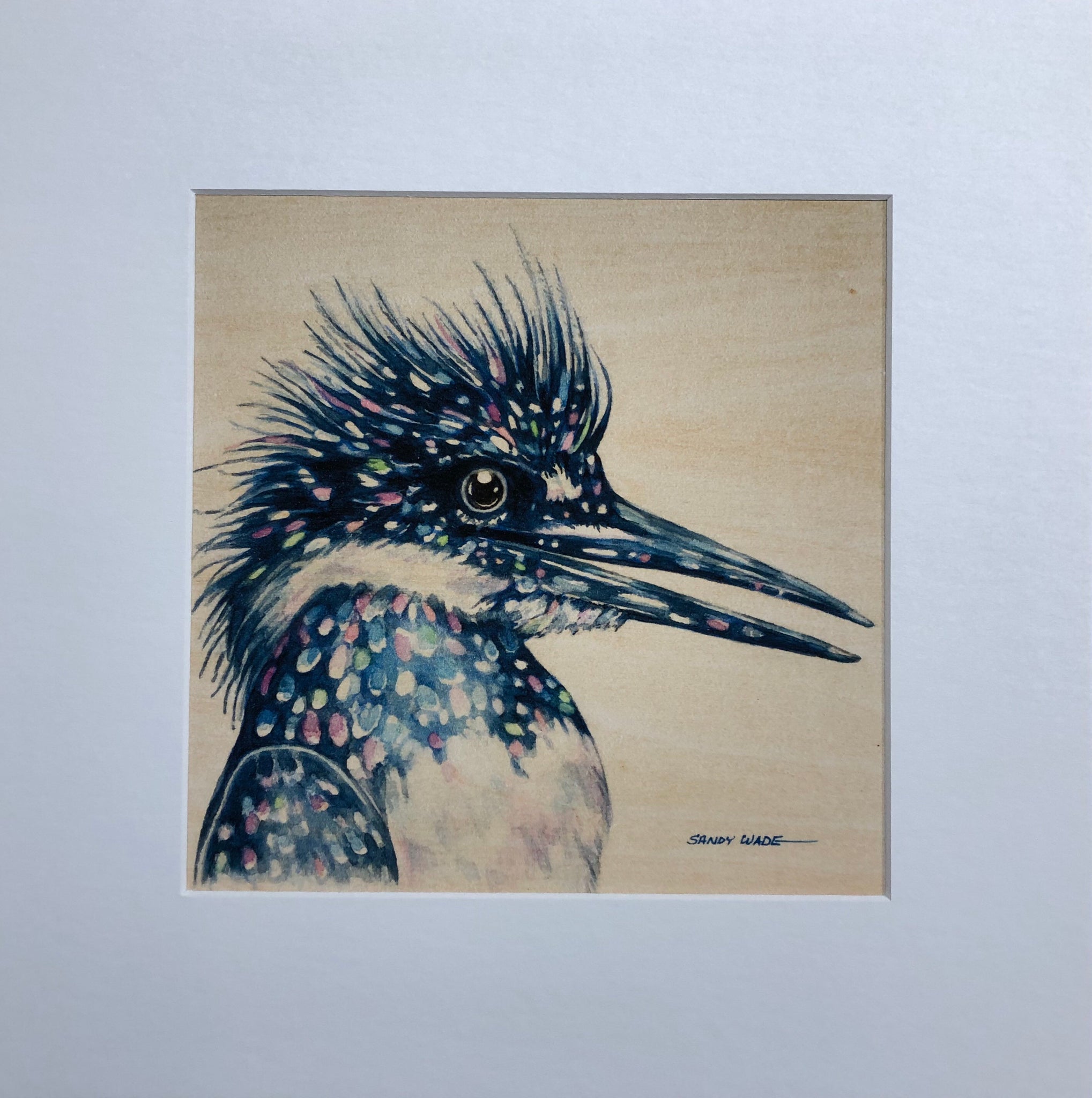KINGFISHER ON WOOD PRINT
