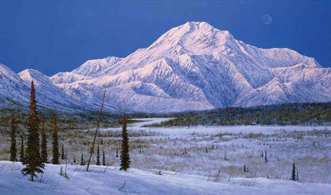 Denali Retreat