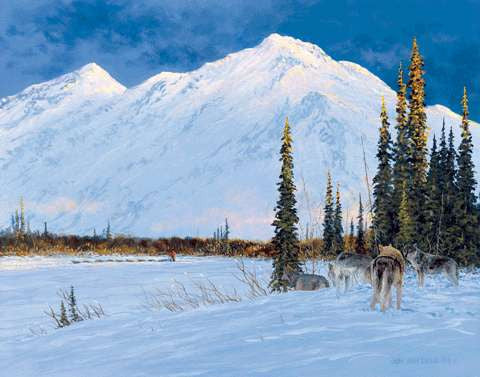 Shadowing the Trail- 2004 Iditarod Print