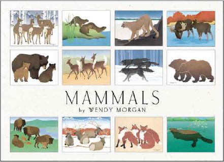 ALASKA MAMMALS ASSORTED CARD SET