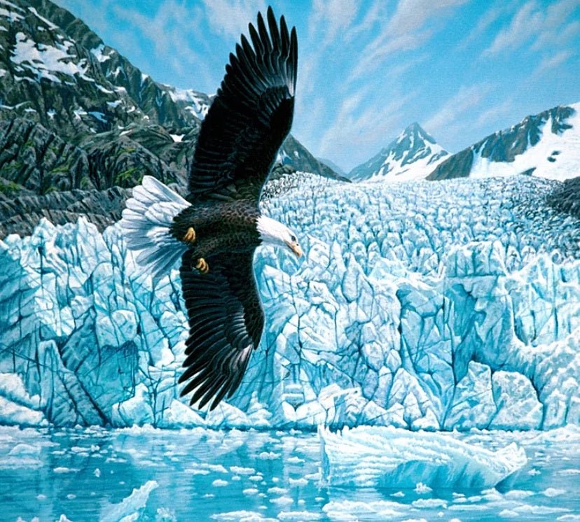 EAGLE AND GLACIER