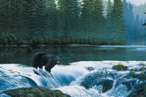 NAHA RIVER BLACK BEAR