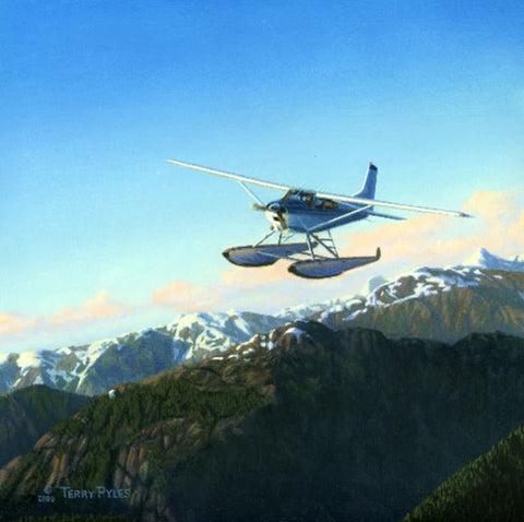EVENING FLIGHT