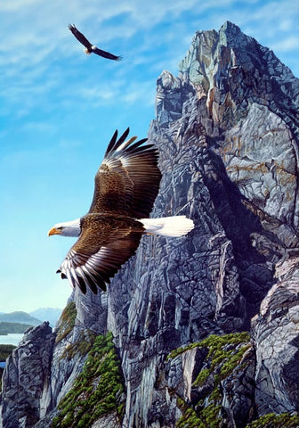 EAGLE'S DOMAIN
